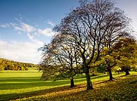 1175 Chatsworth Autumn Chris Gilbert, Ravenseye Gallery, Peak District, Photographs, Courses